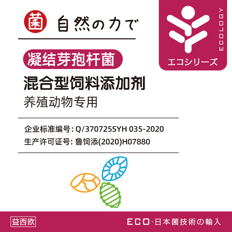 水产用凝结芽孢杆菌