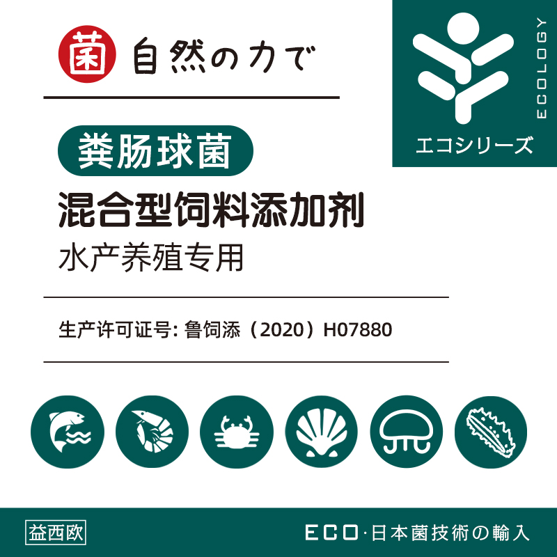 粪肠球菌