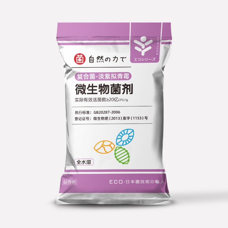 淡紫拟青霉
