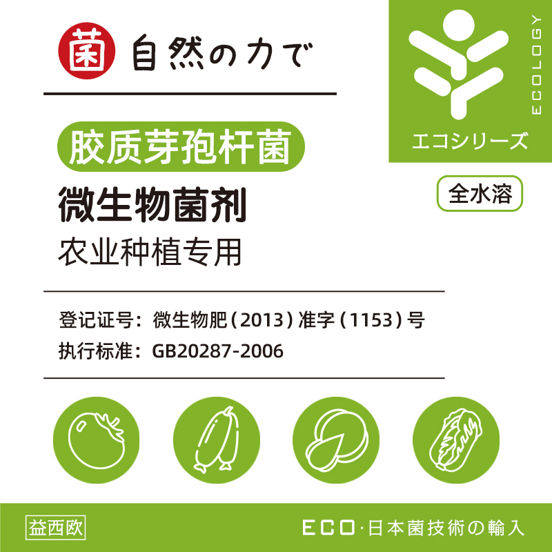 种植用胶质芽孢杆菌 种植用胶质芽孢杆菌