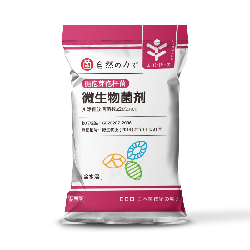 种植用侧孢芽孢杆菌 种植用侧孢芽孢杆菌