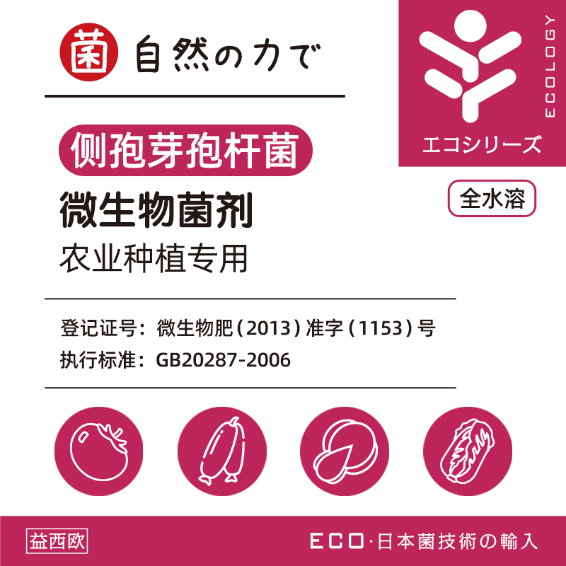 侧孢芽孢杆菌 侧孢芽孢杆菌